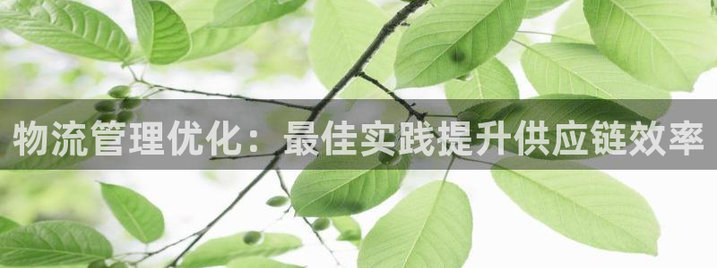28圈人头费：物流管理优化：最佳实践