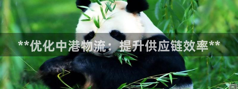 28圈哪个最赚钱：**优化中港物流：