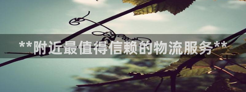 28圈机器人是什么软件