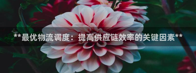 28圈app能退款吗：**最优物流调