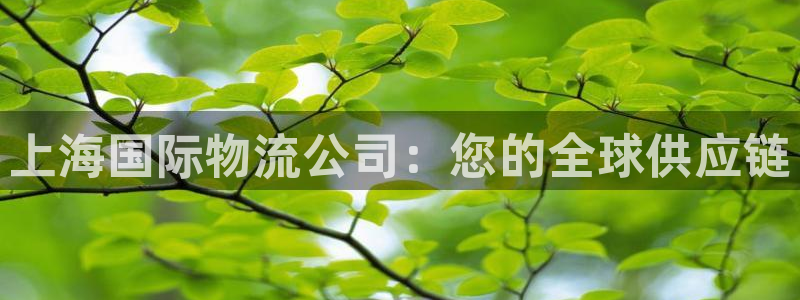 28圈里的财神