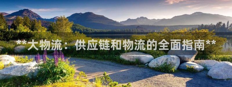 28圈怎么下载不了
