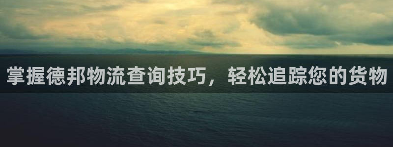28圈加拿大app预测