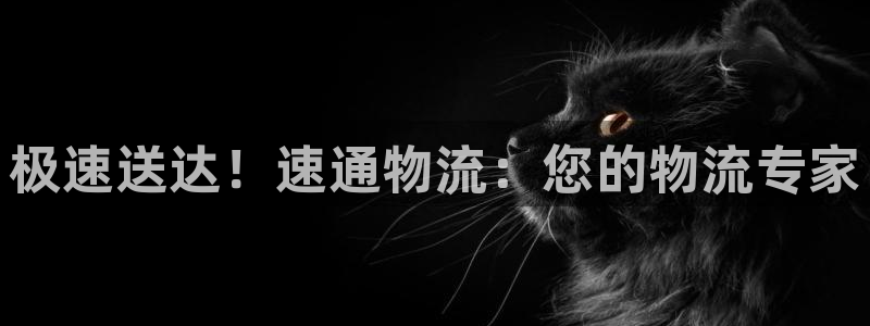 28圈登录用户名登录不上：极速送达！