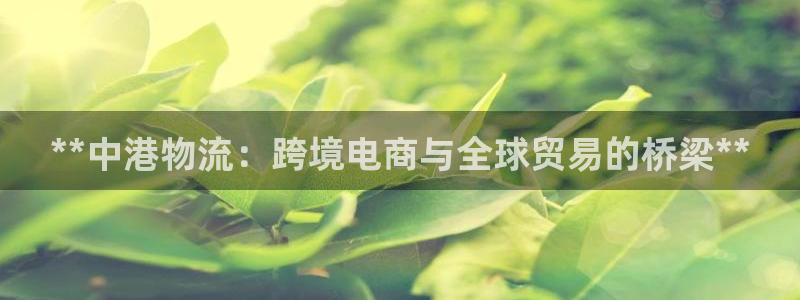28圈口