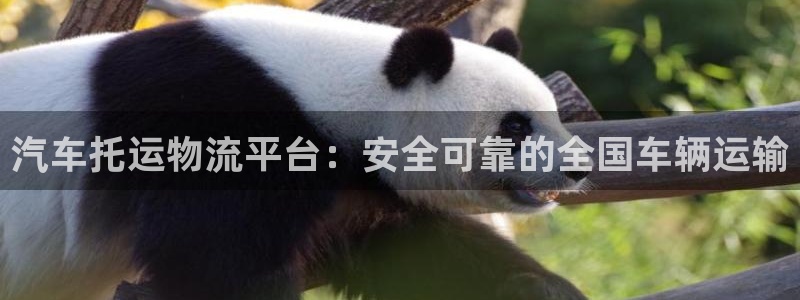 28圈注册登录链接流程：汽车托运物流