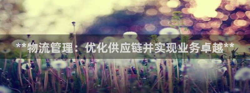 28圈旗下：**物流管理：优化供应链