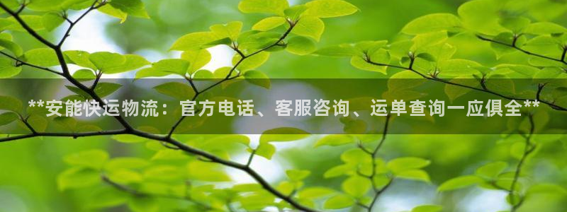 28圈入口问一问
