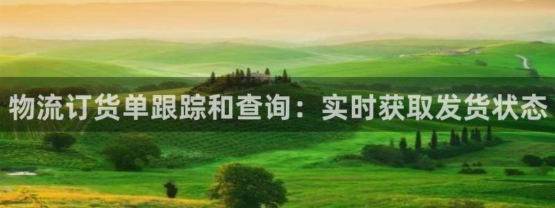 28圈游戏最新版：物流订货单跟踪和查