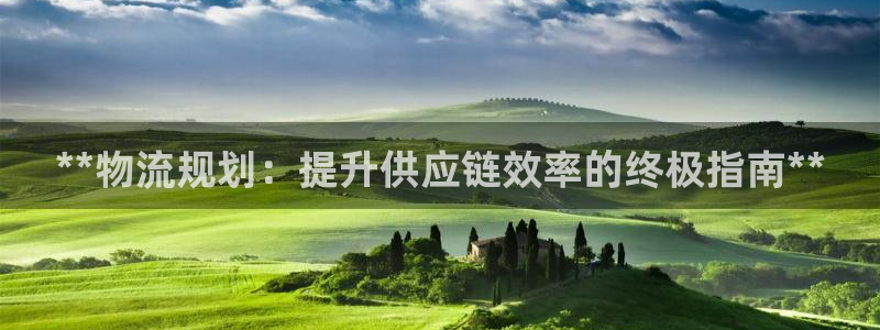 28圈注册与教程：**物流规划：提升