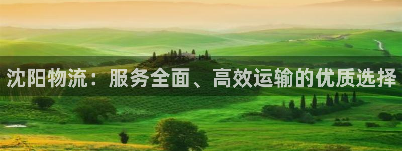 28圈.ccmapp：沈阳物流：服务
