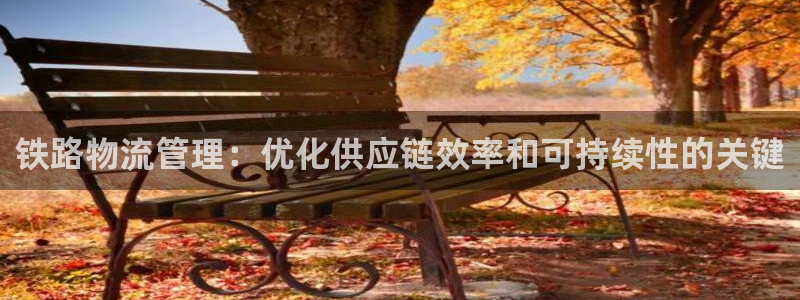 28圈自行车图片