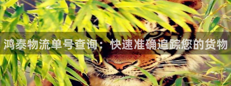28圈登录不上咋回事：鸿泰物流单号查