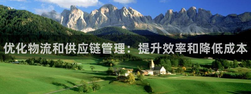 28圈辅助：优化物流和供应链管理：提