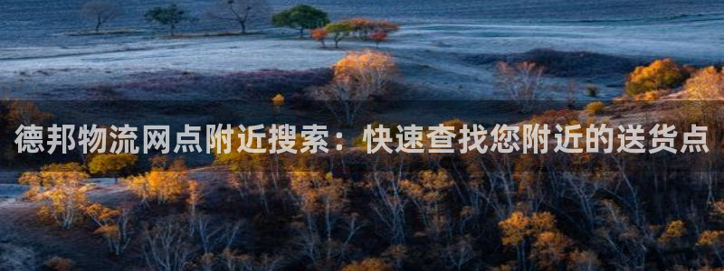 28圈下载体育