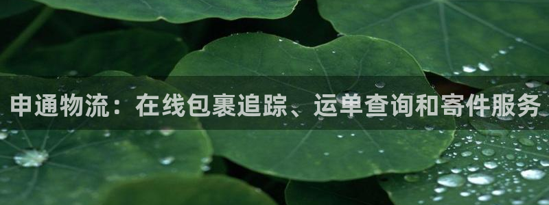 28圈链接是什么：申通物流：在线包裹