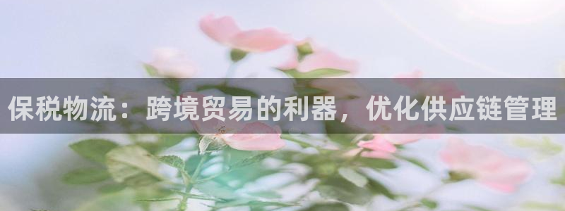 28圈下载二维码怎么弄：保税物流：跨