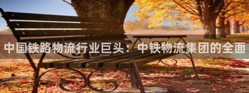 28圈激活码