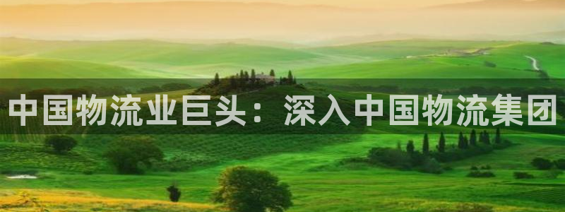 28圈注册网站多少钱一个：中国物流业
