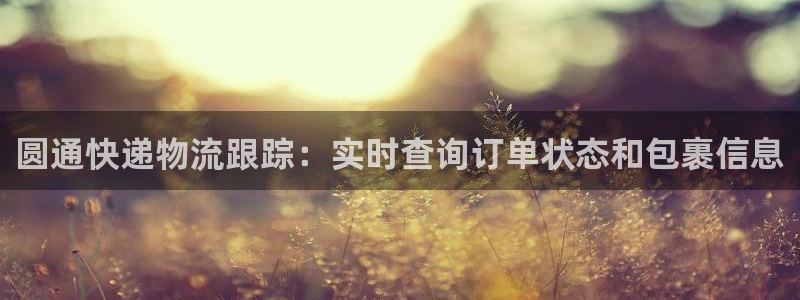 28圈官方平台：圆通快递物流跟踪：实