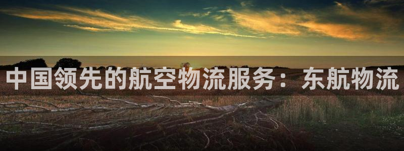 28圈加拿大最新版：中国领先的航空物