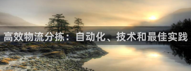 28圈绿骨头：高效物流分拣：自动化、