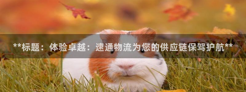 28圈p扣除：**标题：体验卓越：速