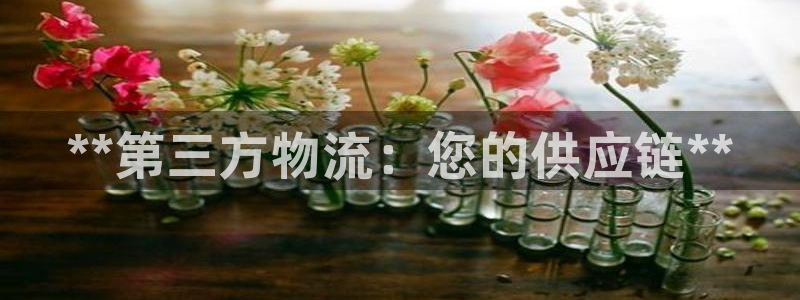 28圈注册登录链接流程：**第三方物