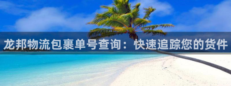 28圈登录流程：龙邦物流包裹单号查询