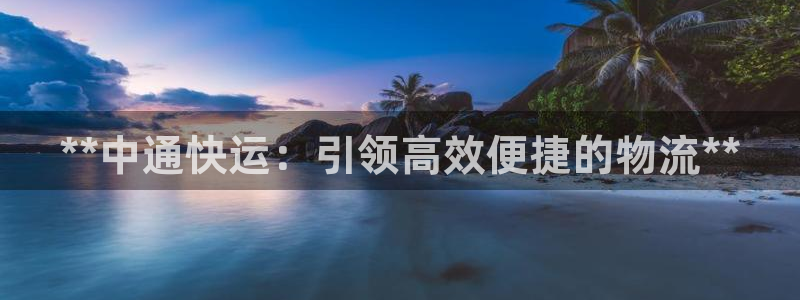 28圈登录不上咋回事：**中通快运：