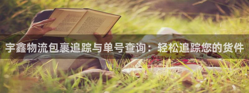 28圈p扣款什么意思：宇鑫物流包裹追