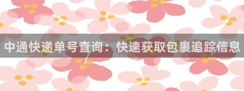 28圈是干嘛的