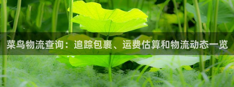 南宫28圈怎么注册：菜鸟物流查询：追