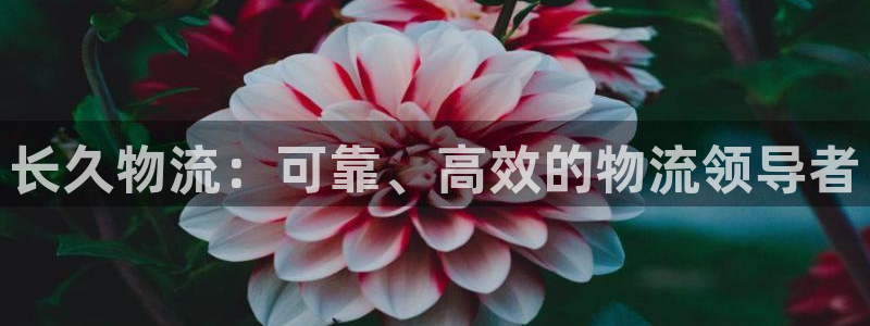 28圈：长久物流：可靠、高效的物流领