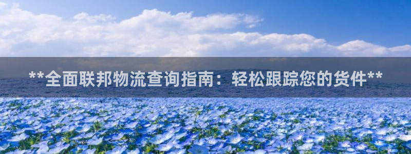 28圈注册用户名是什么：**全面联邦