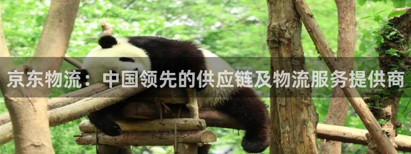 28圈官网注册：京东物流：中国领先的