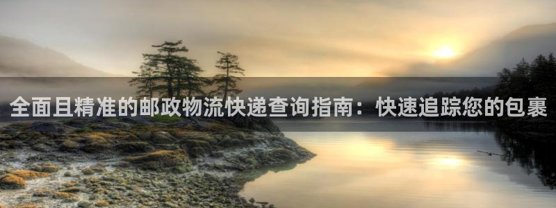 28圈官网开奖结果预测：全面且精准的