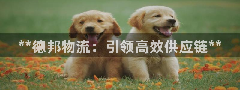 28圈现在狂杀：**德邦物流：引领高