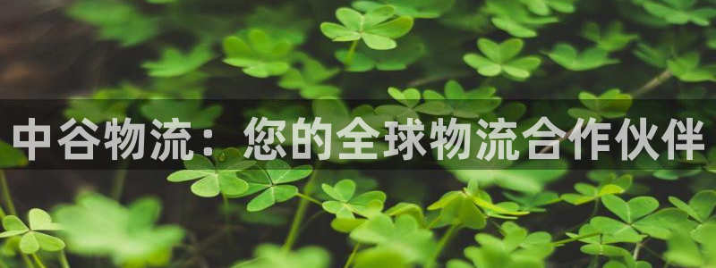 28圈注册限制怎么解除：中谷物流：您