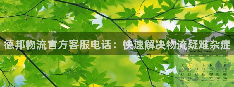 28圈注册网站多少钱：德邦物流官方客
