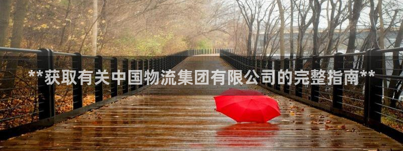 28圈退款