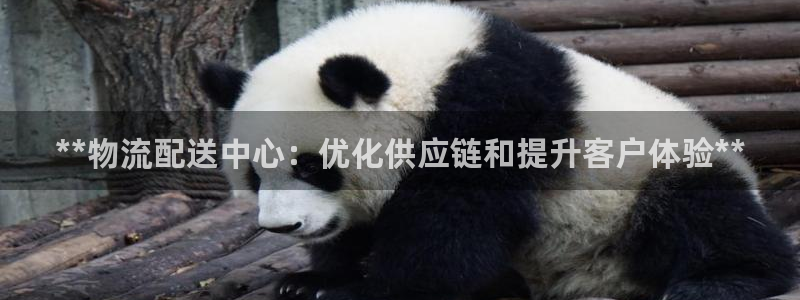 28圈预测加拿大