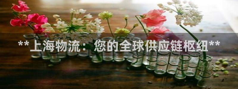 28圈注册流程：**上海物流：您的全