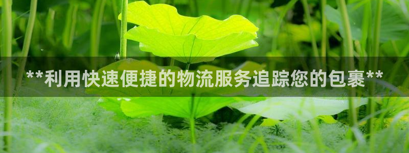 28圈注册网站：**利用快速便捷的物