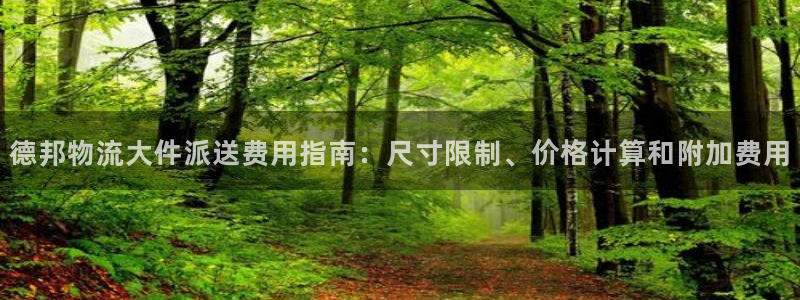 28圈初始资金密码是什么：德邦物流大