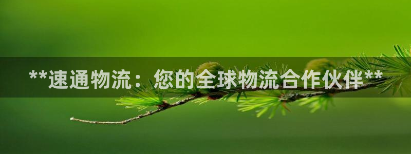 28圈app赢了500万：**速通物