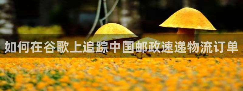 28圈能赢钱吗