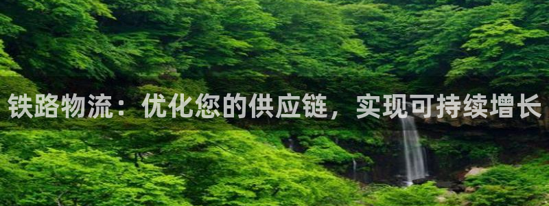 自行车28圈是什么意思：铁路物流：优