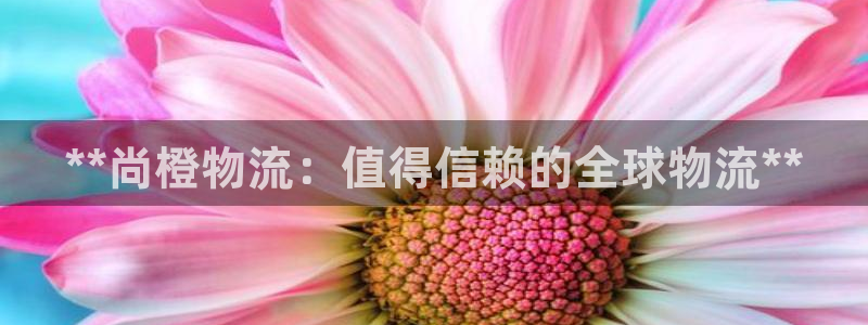 28圈怎么注册：**尚橙物流：值得信