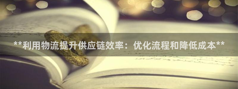 28圈充值：**利用物流提升供应链效